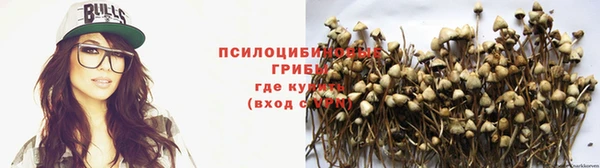 прущая мука Алзамай
