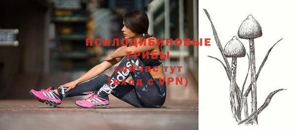 амф Алексин
