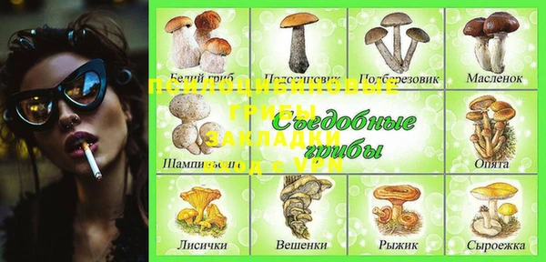 прущая мука Алзамай