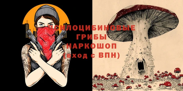 гидра Алексеевка