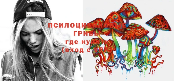 амф Алексин