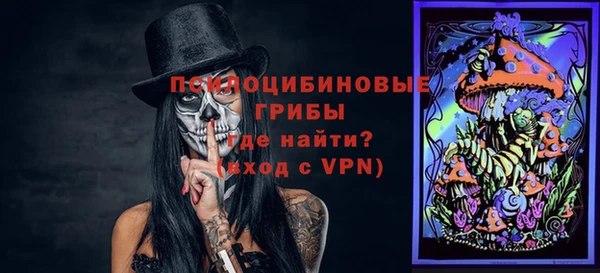амф Алексин